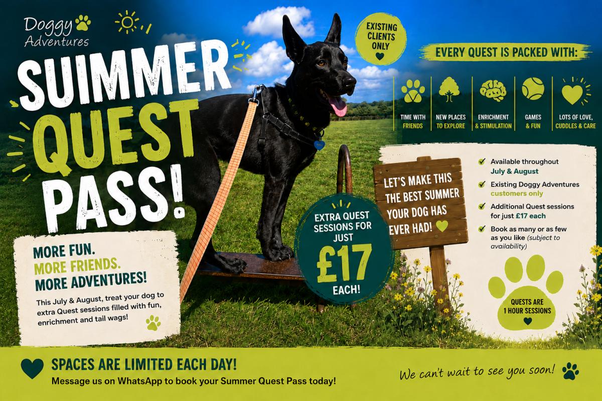 Summer Quest Pass